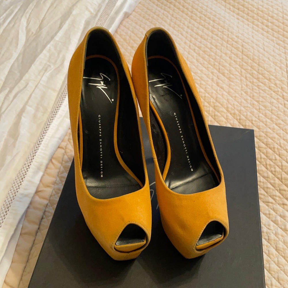 36.5 suede giuseppe zanotti authentic extra high